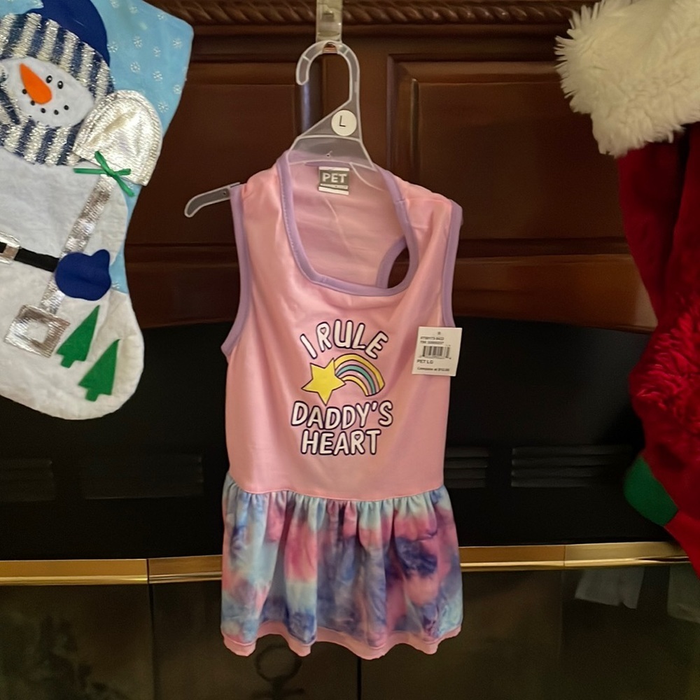 NWT! I rule Daddy’s heart dog dress